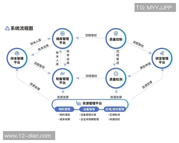 深圳羽毛球队区域防守革新之路探索与实践分析