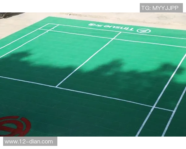 西安羽毛球队中路突破分析与未来发展趋势探讨 西安羽毛球队中路突破分析与未来发展趋势探讨