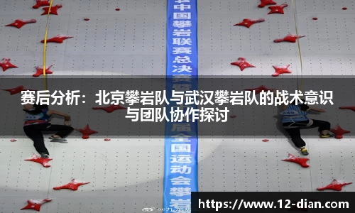 赛后分析：北京攀岩队与武汉攀岩队的战术意识与团队协作探讨